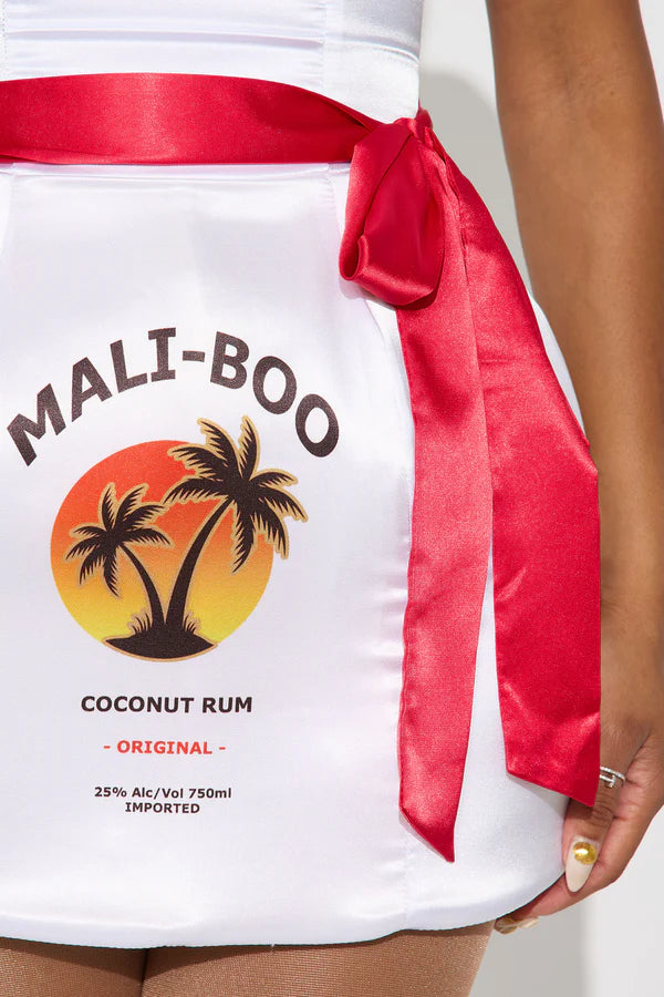 Mali-Boo Rum Babe 3 Piece Costume Set - Silver